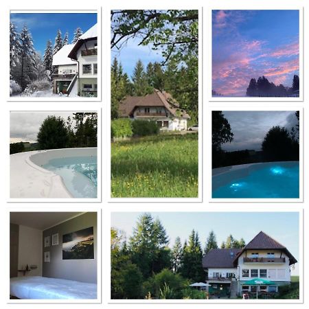 B & B Der Waldvogel Herrischried Exterior foto